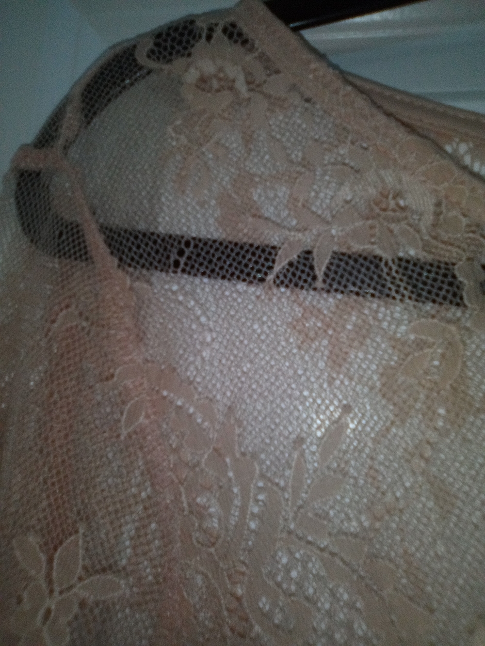 Ultra Pink Coquette Balletcore Boho Chic Whimsigoth Lace Sheer Blouse Size Large - Picture 6 of 9